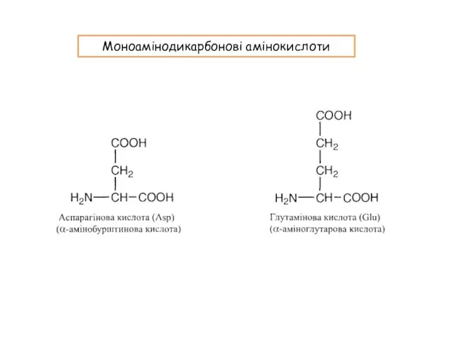 Моноамінодикарбонові амінокислоти