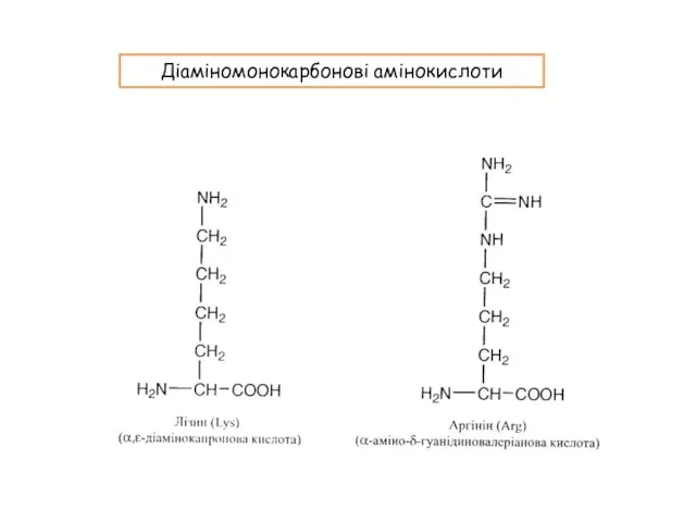 Діаміномонокарбонові амінокислоти