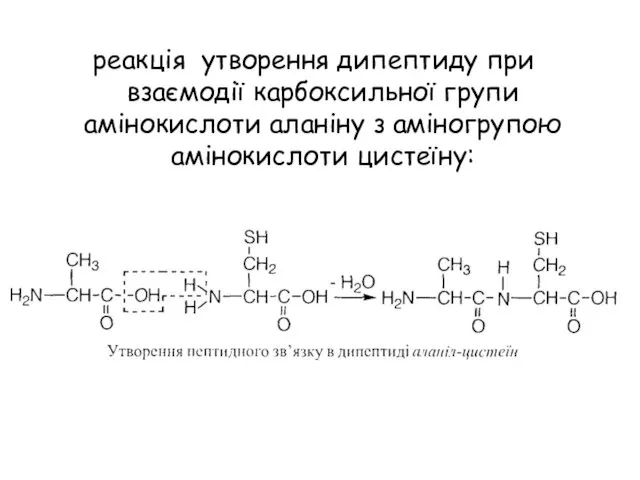 реакція утворення дипептиду при взаємодії карбоксильної групи амінокислоти аланіну з аміногрупою амінокислоти цистеїну: