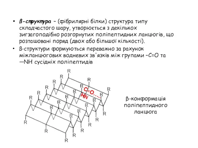 ß-структура – (фібрилярні білки) структура типу складчастого шару, утворюється з