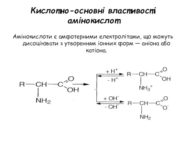 Амінокислоти є амфотерними електролітами, що можуть дисоціювати з утворенням іонних