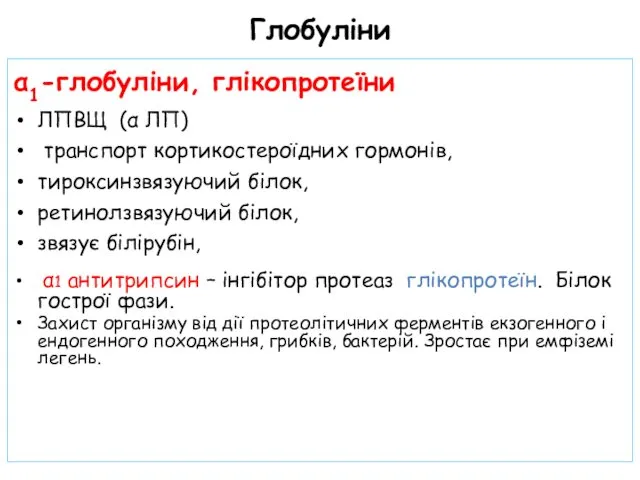 Глобуліни α1-глобуліни, глікопротеїни ЛПВЩ (α ЛП) транспорт кортикостероїдних гормонів, тироксинзвязуючий