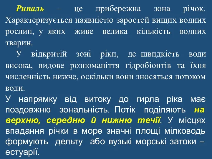 Рипаль – це прибережна зона річок. Характеризується наявністю заростей вищих