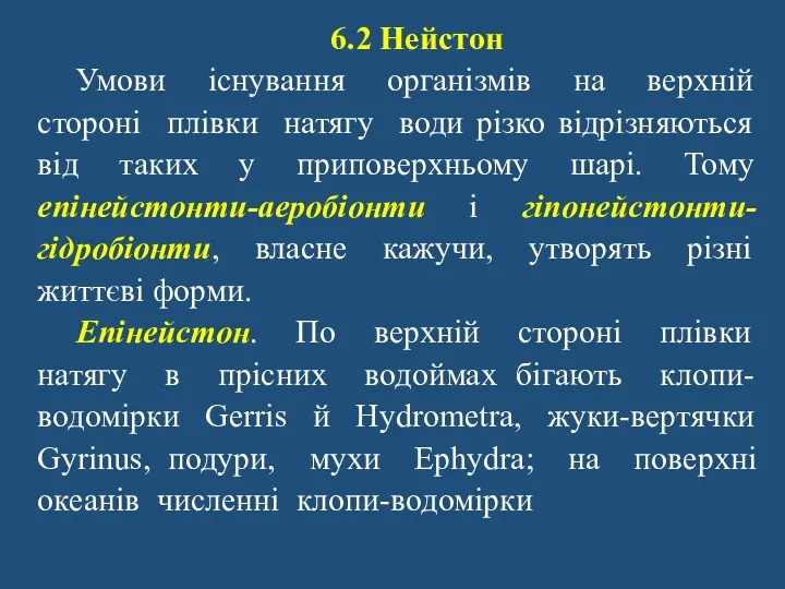 6.2 Нейстон Умови існування організмів на верхній стороні плівки натягу