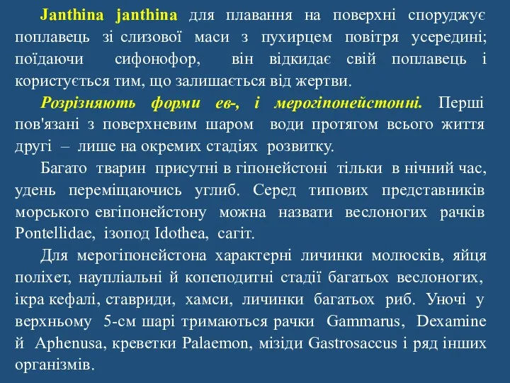 Janthina janthina для плавання на поверхні споруджує поплавець зі слизової