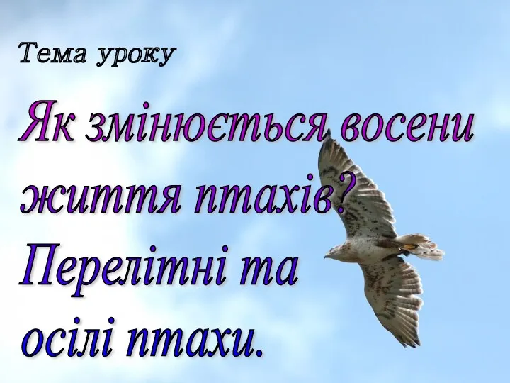 Тема уроку Як змінюється восени життя птахів? Перелітні та осілі птахи.