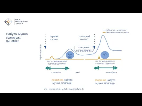 Набута імунна відповідь: динаміка Набута імунна відповідь Вроджена імунна відповідь