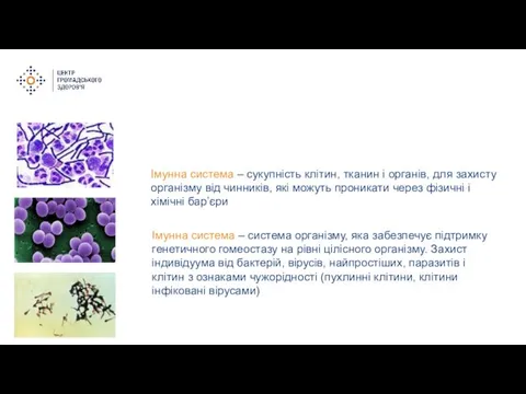 Імунна система – сукупність клітин, тканин і органів, для захисту