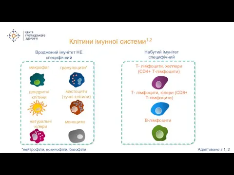 Клітини імунної системи1,2 макрофаг *нейтрофіли, еозинофіли, базофіли гранулоцити* дендритні клітини