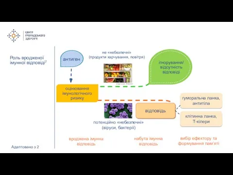 Роль вродженої імунної відповіді2 Адаптовано з 2 не «небезпечні» (продукти