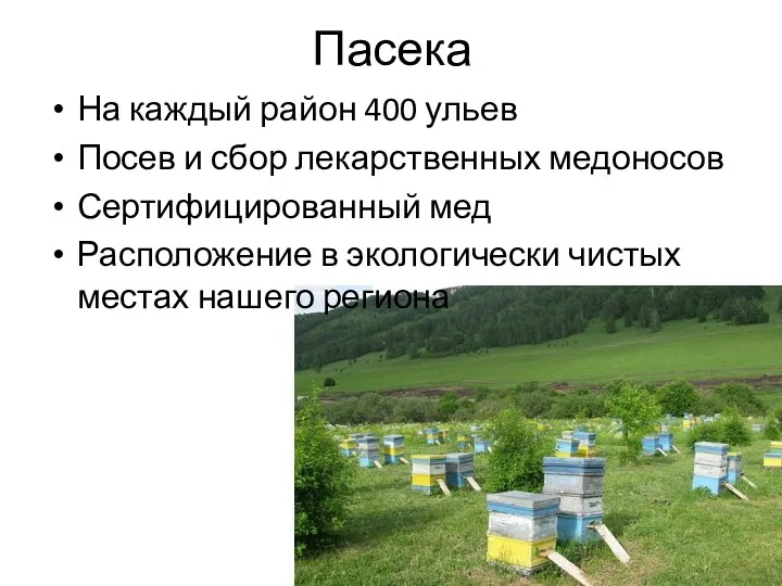 Пасека На каждый район 400 ульев Посев и сбор лекарственных