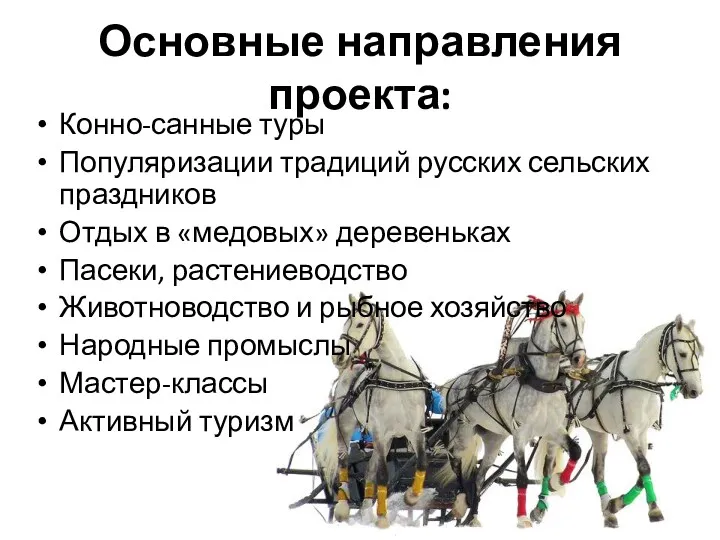 Основные направления проекта: Конно-санные туры Популяризации традиций русских сельских праздников
