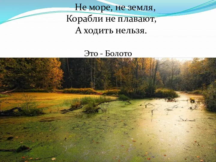 Не море, не земля, Корабли не плавают, А ходить нельзя. Это - Болото