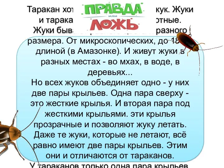 Правда Ложь Правда ли, что таракан это вредный жук? Таракан