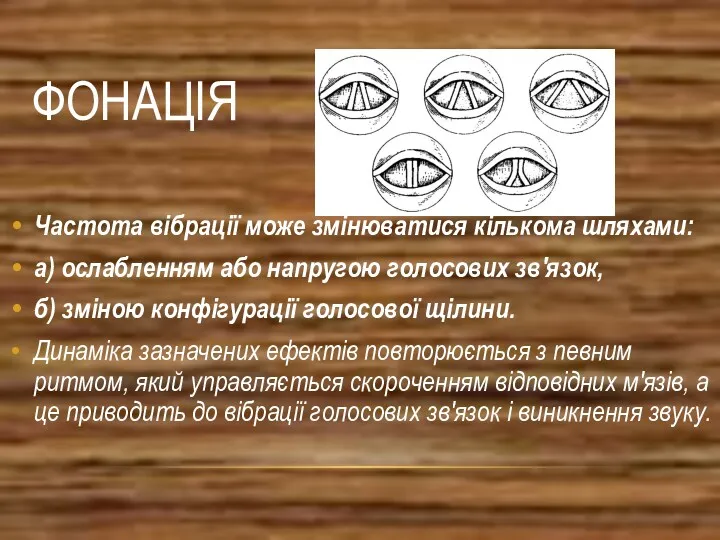 ФОНАЦІЯ Частота вібрації може змінюватися кількома шляхами: а) ослабленням або