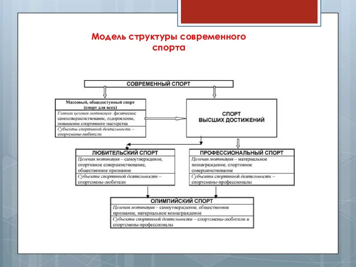 Модель структуры современного спорта