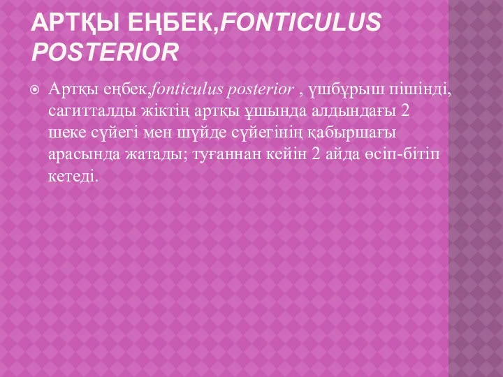 АРТҚЫ ЕҢБЕК,FONTICULUS POSTERIOR Артқы еңбек,fonticulus posterior , үшбұрыш пішінді, сагитталды