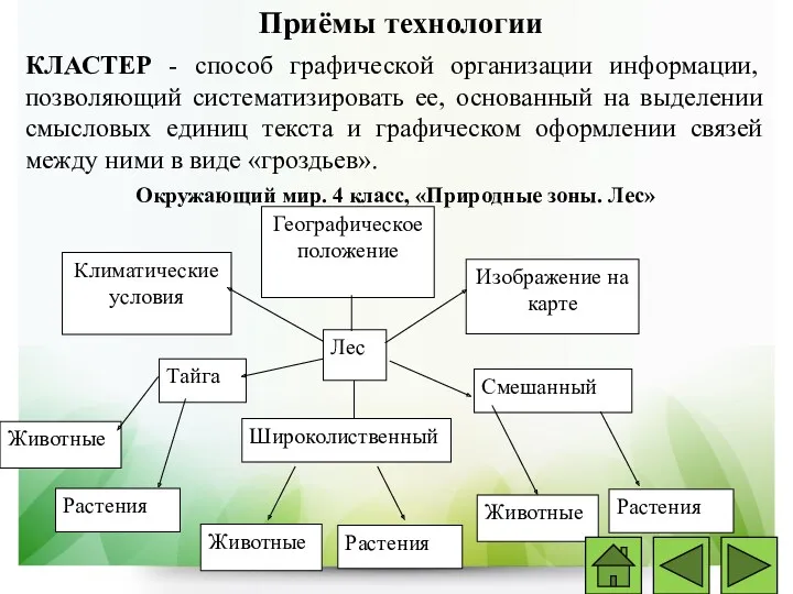 Приёмы технологии КЛАСТЕР - способ графической организации информации, позволяющий систематизировать ее, основанный на