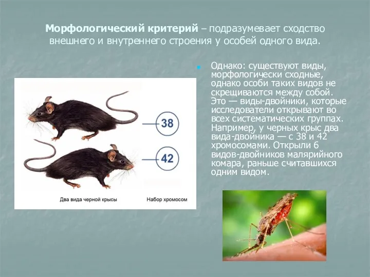 Морфологический критерий – подразумевает сходство внешнего и внутреннего строения у