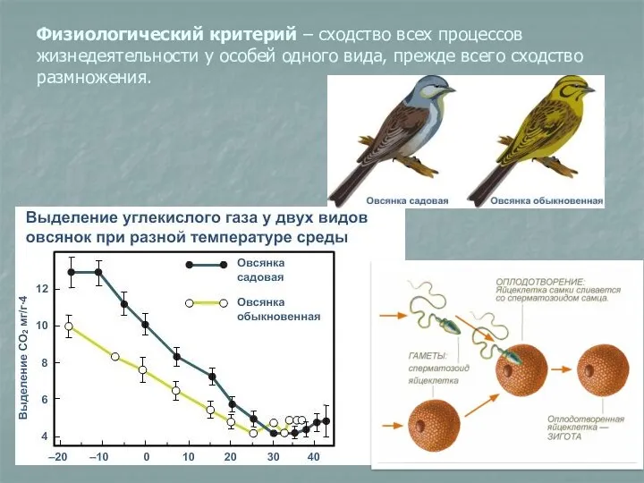 Физиологический критерий – сходство всех процессов жизнедеятельности у особей одного вида, прежде всего сходство размножения.