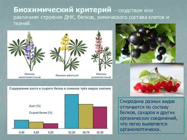 Биохимический критерий – сходством или различием строения ДНК, белков, химического