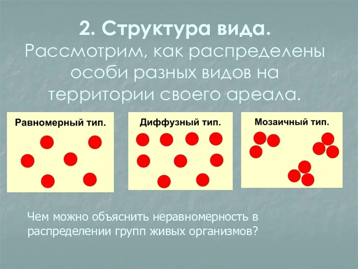 2. Структура вида. Рассмотрим, как распределены особи разных видов на