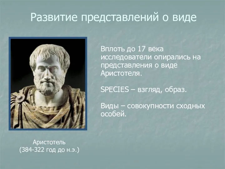 Развитие представлений о виде Вплоть до 17 века исследователи опирались