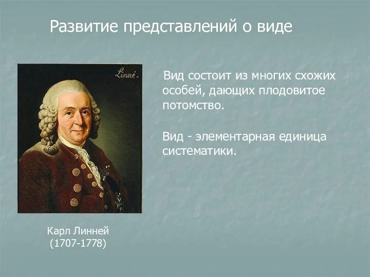 Карл Линней (1707-1778) Вид - элементарная единица систематики. Развитие представлений