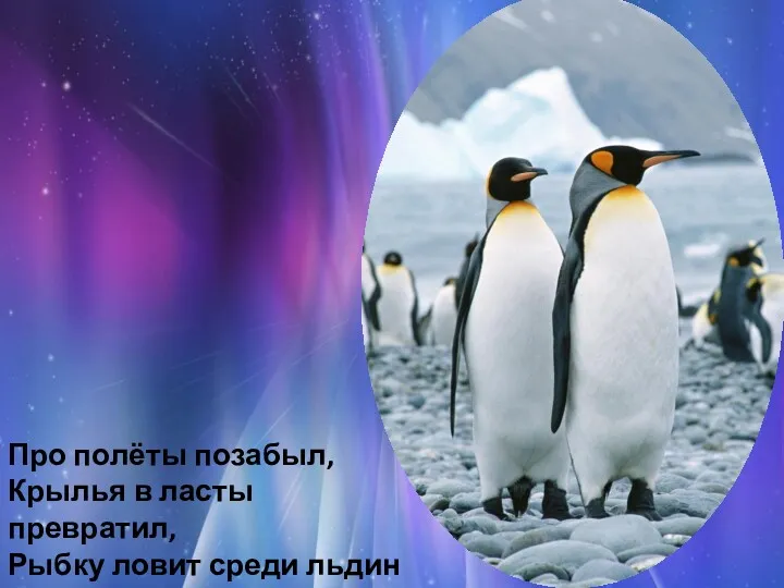 Про полёты позабыл, Крылья в ласты превратил, Рыбку ловит среди льдин Антарктический … (пингвин)!