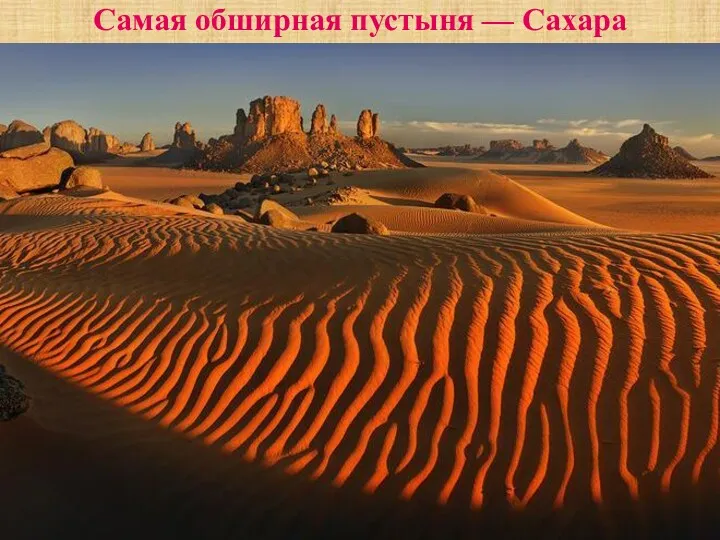 Самая обширная пустыня — Сахара