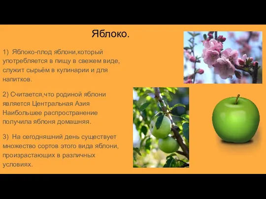 Яблоко. 1) Яблоко-плод яблони,который употребляется в пищу в свежем виде,служит