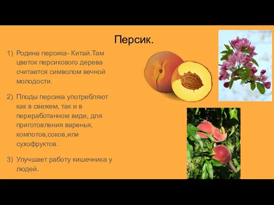 Персик. Родина персика- Китай.Там цветок персикового дерева считается символом вечной молодости. Плоды персика