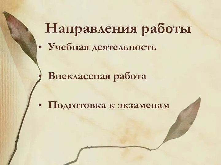 Направления работы Учебная деятельность Внеклассная работа Подготовка к экзаменам