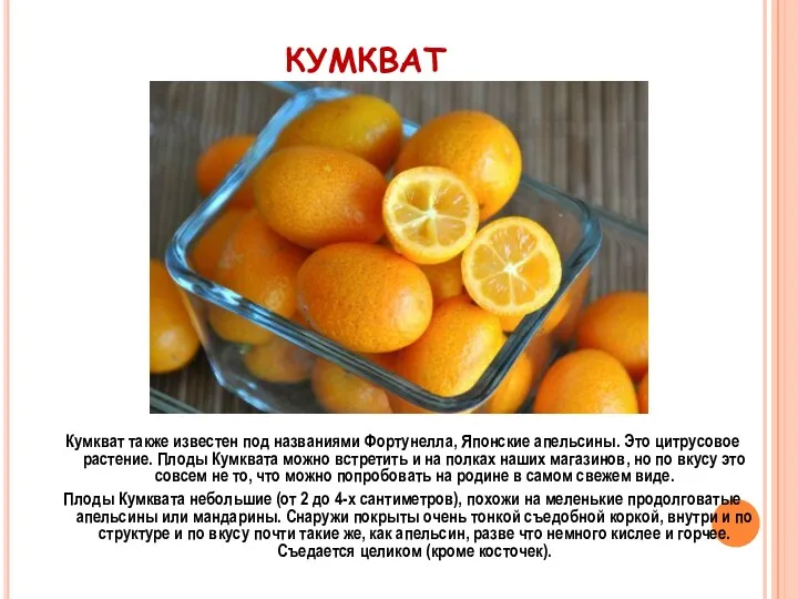 КУМКВАТ Кумкват также известен под названиями Фортунелла, Японские апельсины. Это