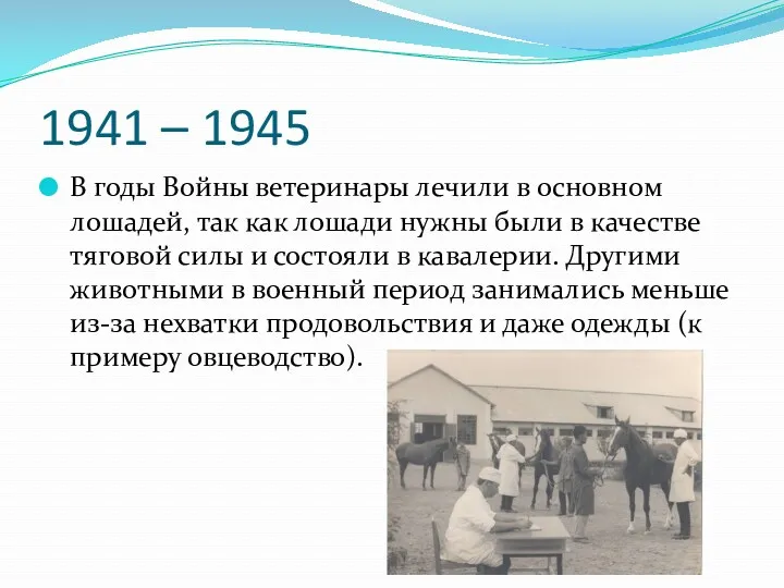 1941 – 1945 В годы Войны ветеринары лечили в основном лошадей, так как