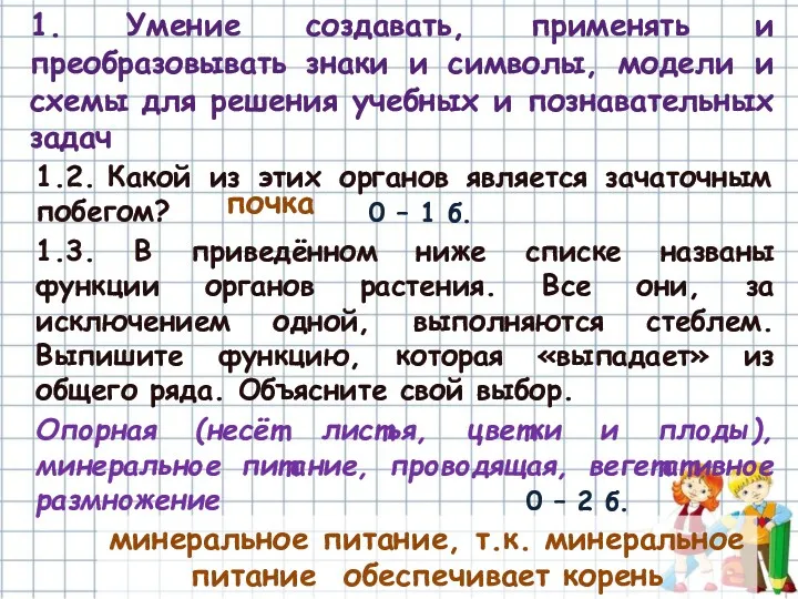 1.2. Какой из этих органов является зачаточным побегом? 1.3. В