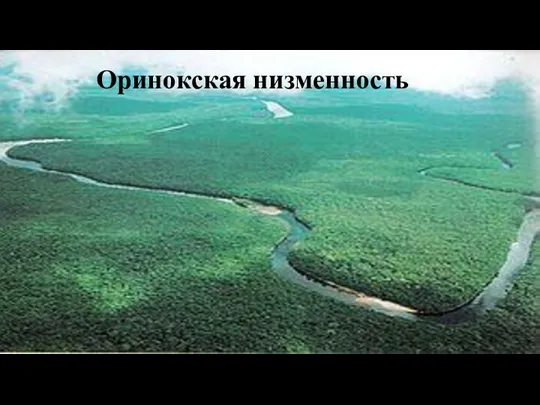 Оринокская низменность