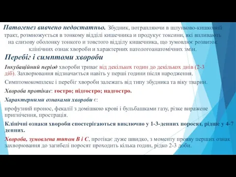 Патогенез вивчено недостатньо. Збудник, потрапляючи в шлунково-кишковий тракт, розмножується в