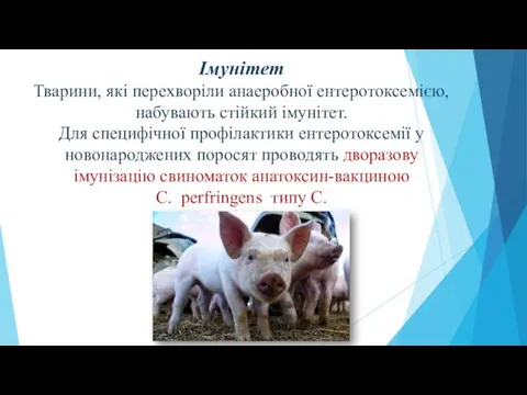 Імунітет Тварини, які перехворіли анаеробної ентеротоксемією, набувають стійкий імунітет. Для