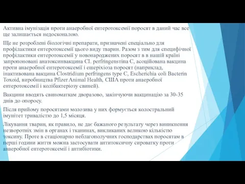 Активна імунізація проти анаеробної ентеротоксемії поросят в даний час все