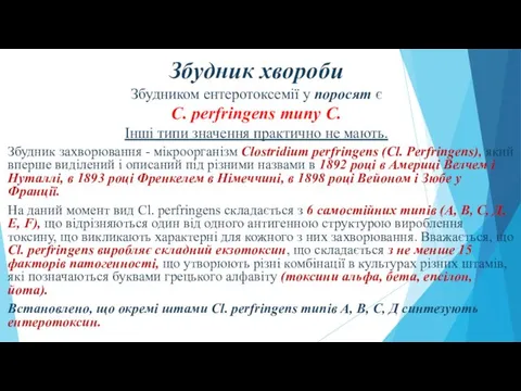 Збудник хвороби Збудником ентеротоксемії у поросят є С. perfringens типу