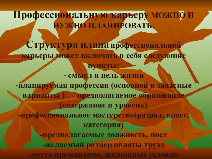 Профессиональную карьеру МОЖНО И НУЖНО ПЛАНИРОВАТЬ. Структура плана профессиональной карьеры