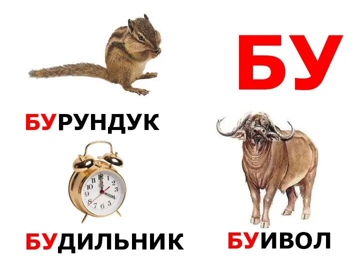 БУ БУРУНДУК БУДИЛЬНИК БУЙВОЛ