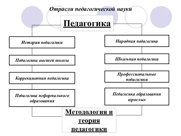 Отрасли педагогической науки Педагогика История педагогики Педагогика высшей школы Коррекционная