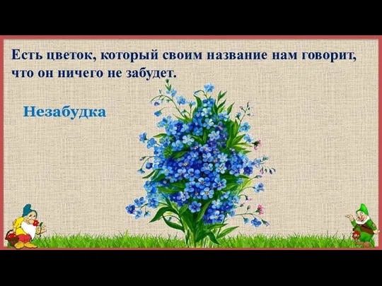 Есть цветок, который своим название нам говорит, что он ничего не забудет. Незабудка