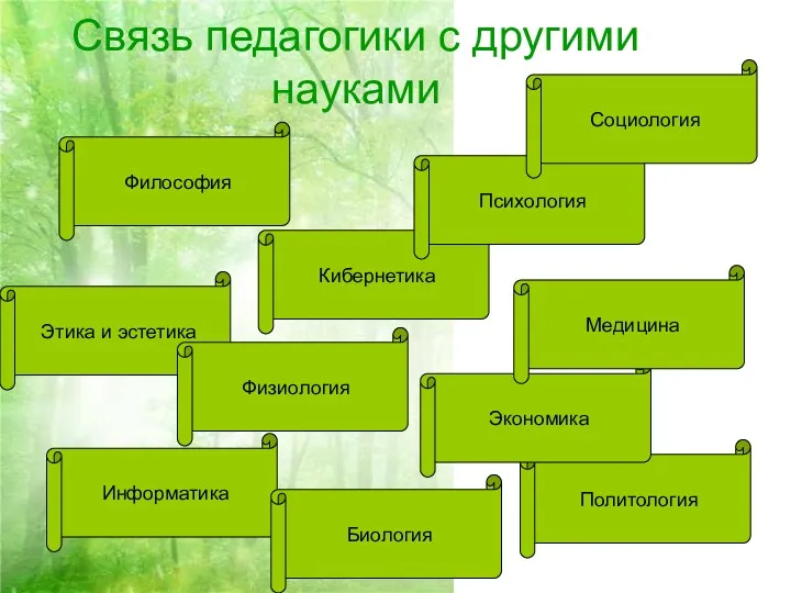 Связь педагогики с другими науками Философия Кибернетика Этика и эстетика