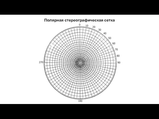 Полярная стереографическая сетка