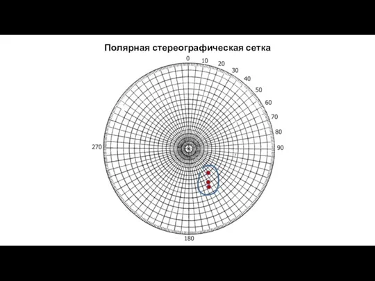 Полярная стереографическая сетка