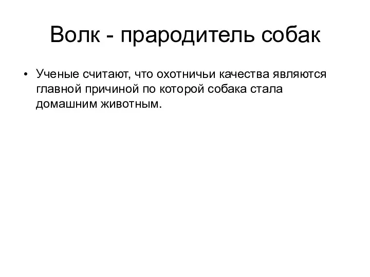 Волк - прародитель собак Ученые считают, что охотничьи качества являются