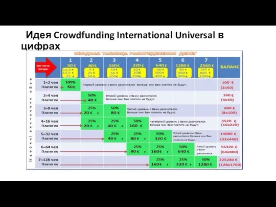 Идея Crowdfunding International Universal в цифрах